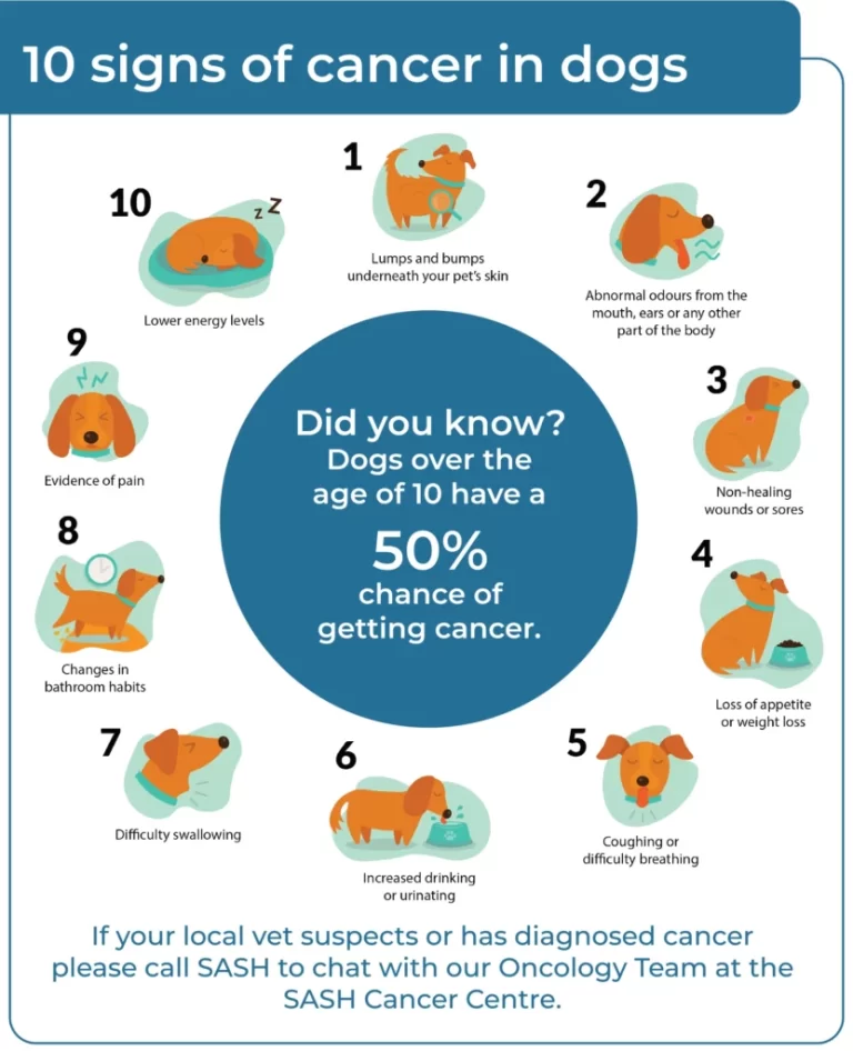 How Do You Know If Your Dog Has Cancer