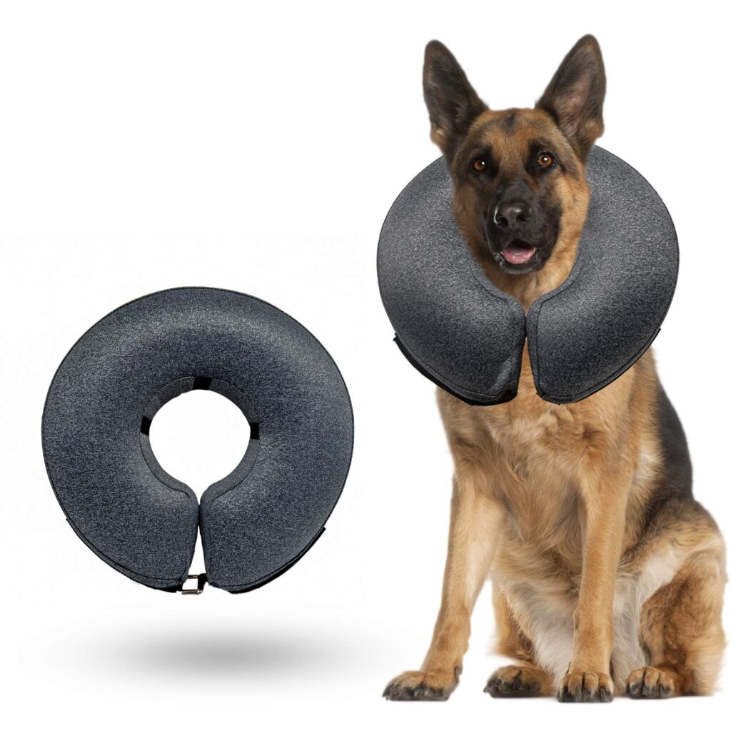 How Long to Keep Cone on Dog After Spay