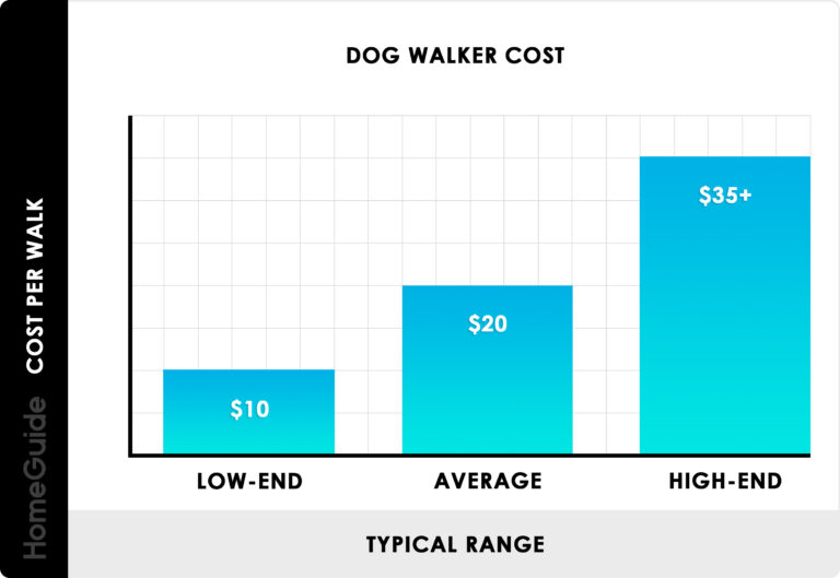 How Much Do Dog Walkers Charge for 30 Minutes