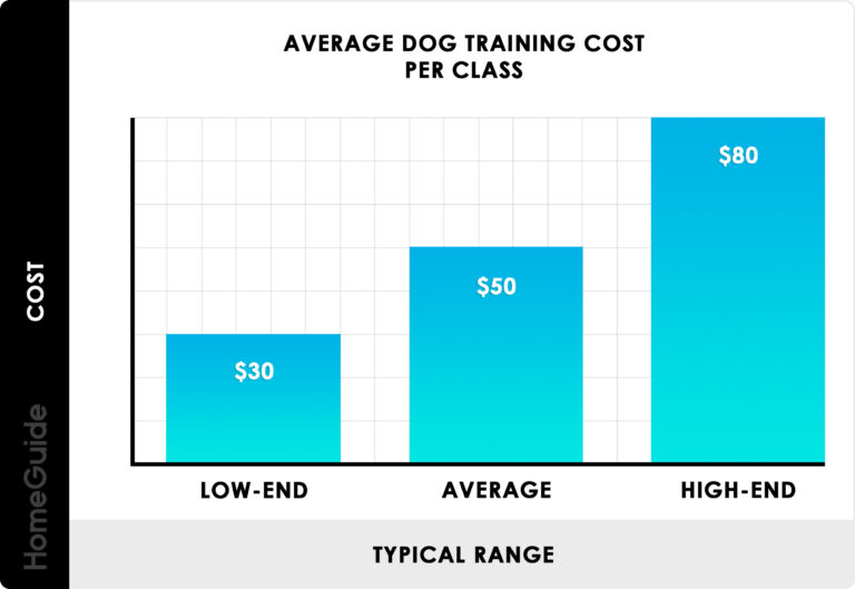 How Much Does It Cost to Become a Dog Trainer