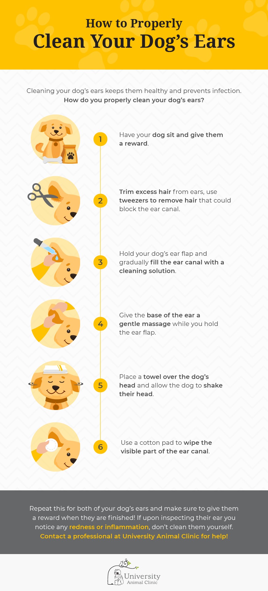 How Often Should I Clean My Dog's Ears? Essential Guide