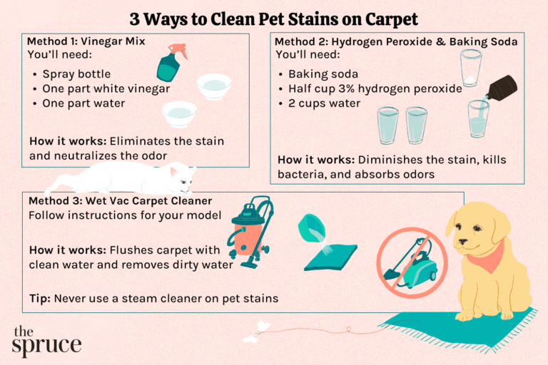 How to Get Dog Poop Stains Out of Carpet