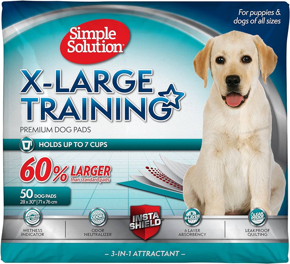 How to Get Rid of Dog Smell Without Bath