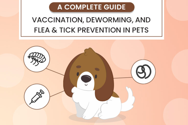 How to Get Rid of Fleas And Ticks on Dogs