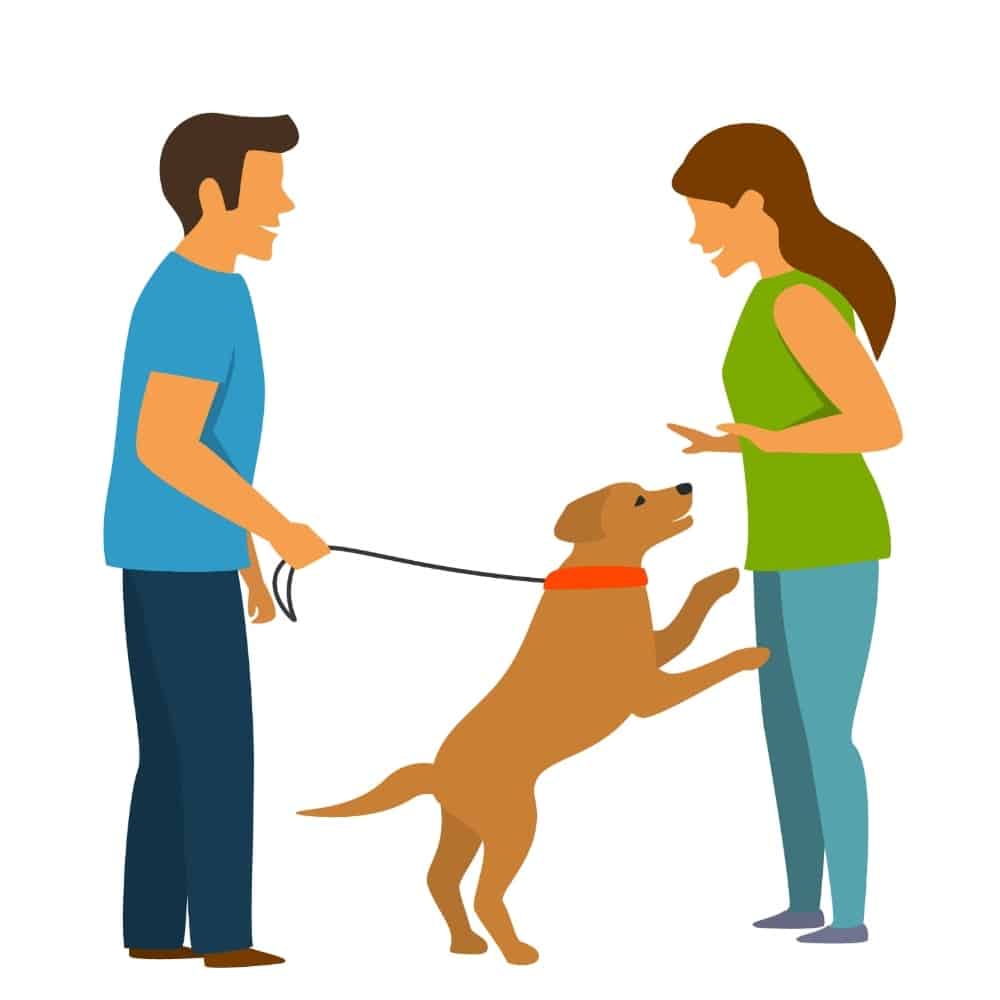 How to Keep a Dog from Jumping on You Effective Strategies