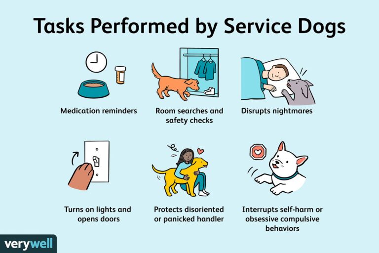 How to Train a Dog to Be a Service Dog