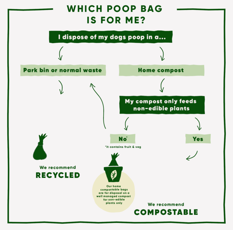 Is It Illegal to Put Dog Poop in the Garbage