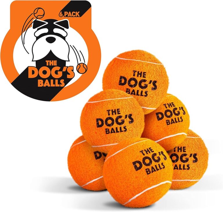 Nerf Dog Tennis Ball Blaster for Small Dogs And Puppies