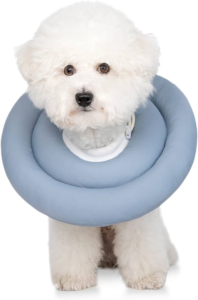 What Can I Use Instead of a Dog Cone