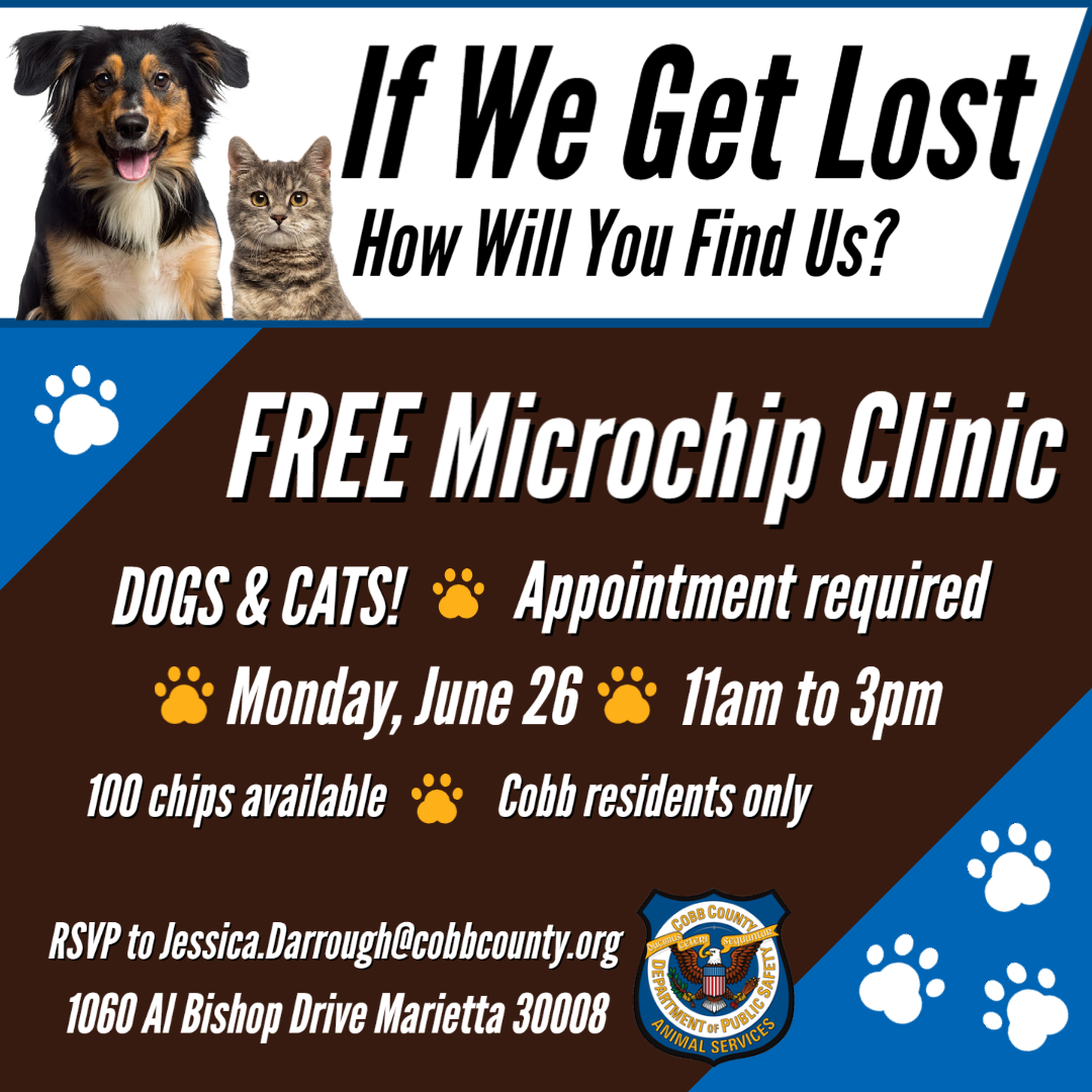 where-can-i-get-my-dog-microchipped-for-free-find-out-now