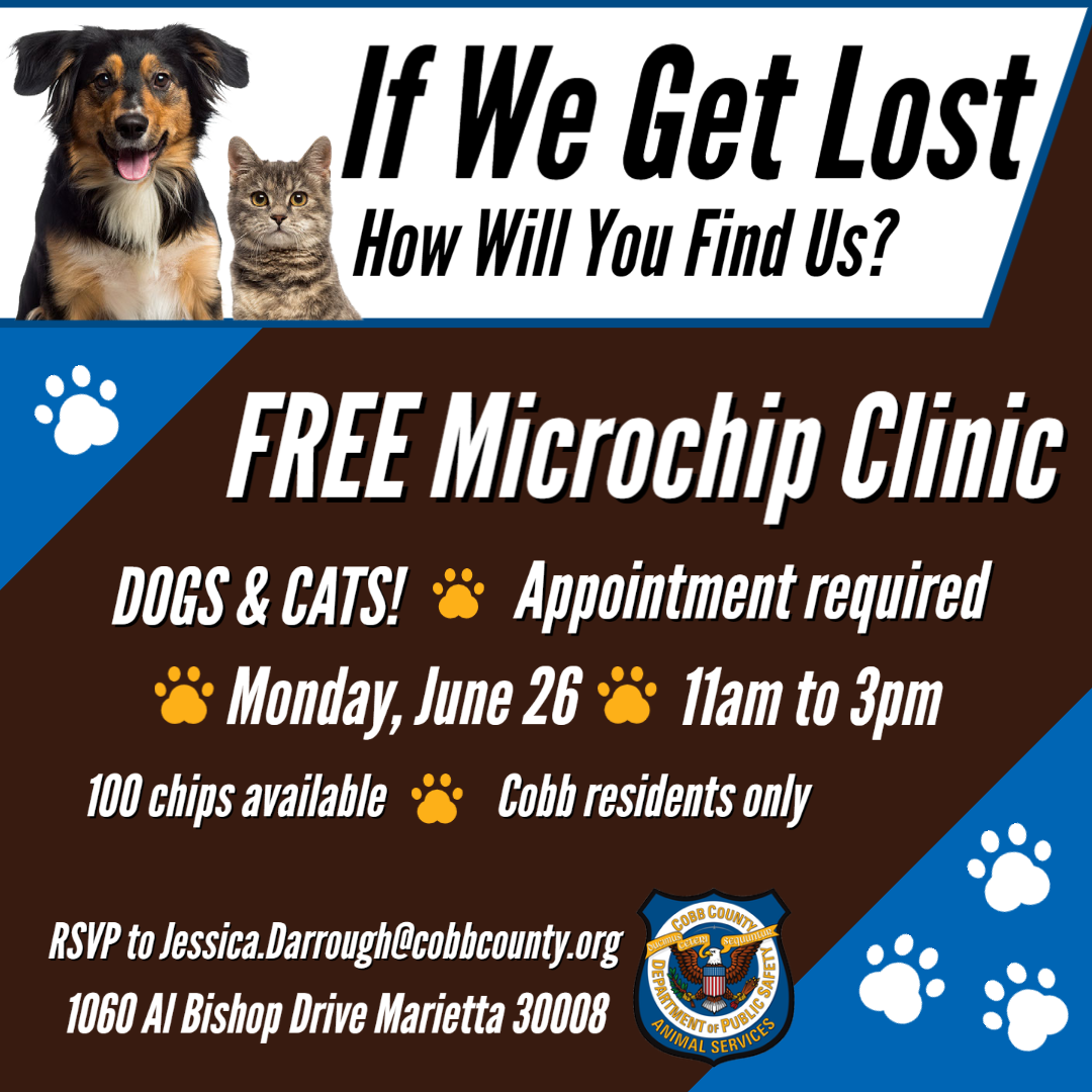 Where Can I Get My Dog Microchipped For Free Find Out Now Dog Show TV