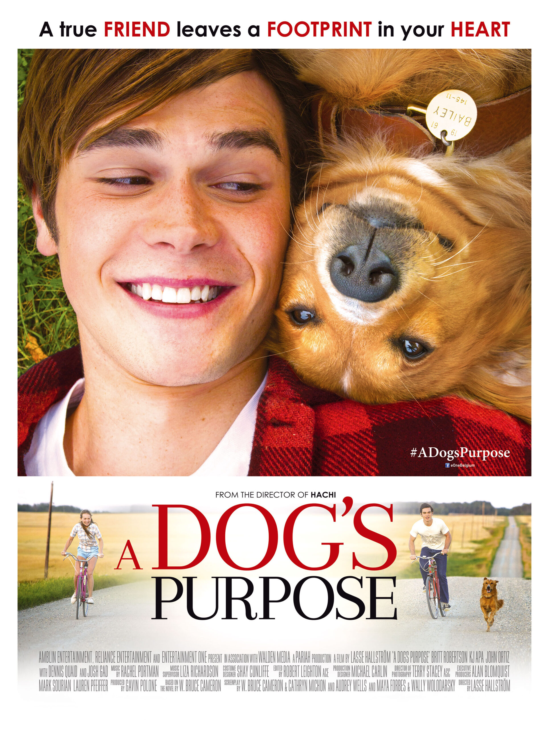 Where Can I Watch a Dog's Purpose 2022: Discover the Best Streaming - Where Can I Watch A Dog's Purpose 2