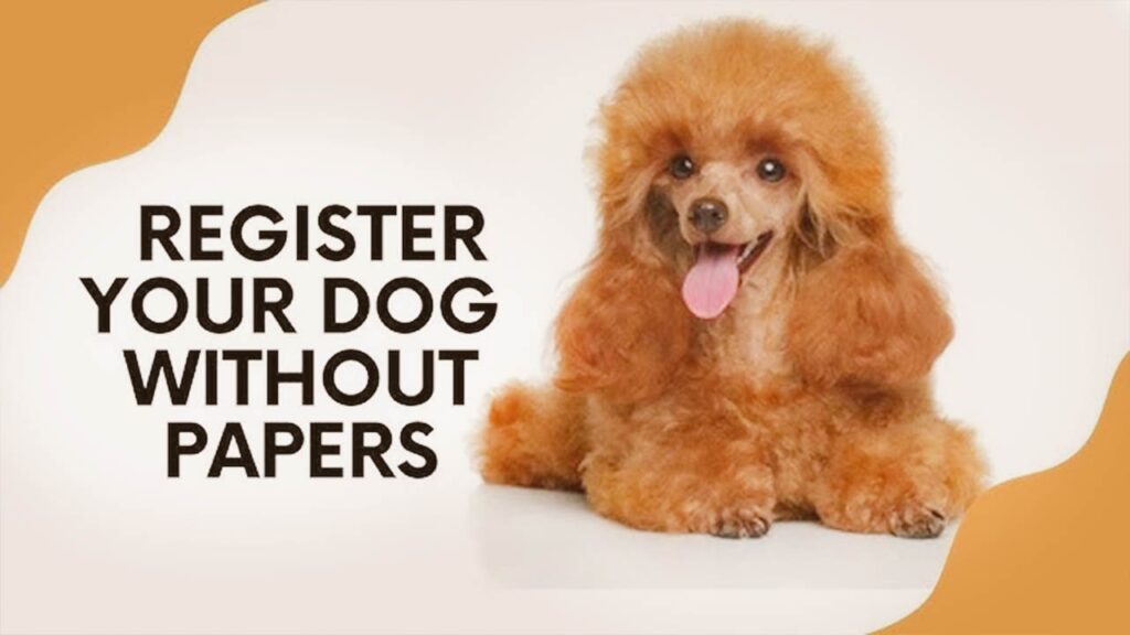 How to Get a Dog Akc Registered Without Papers