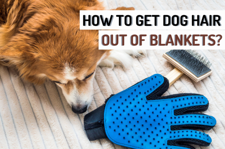 How to Get Dog Hair Out of a Blanket