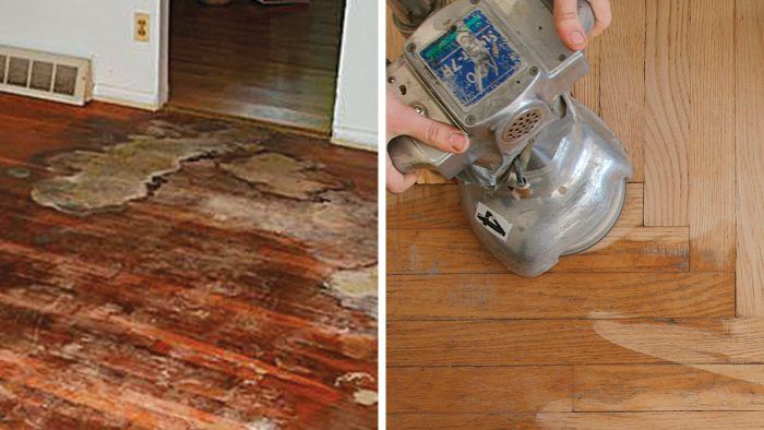 How to Get Dog Pee Out of Wood Floors