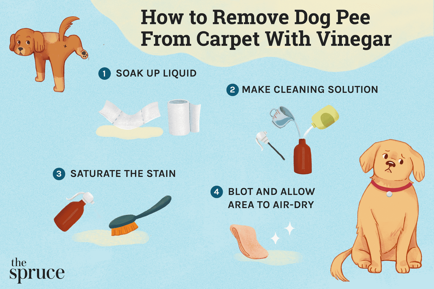 how-to-get-dog-pee-stain-out-of-carpet