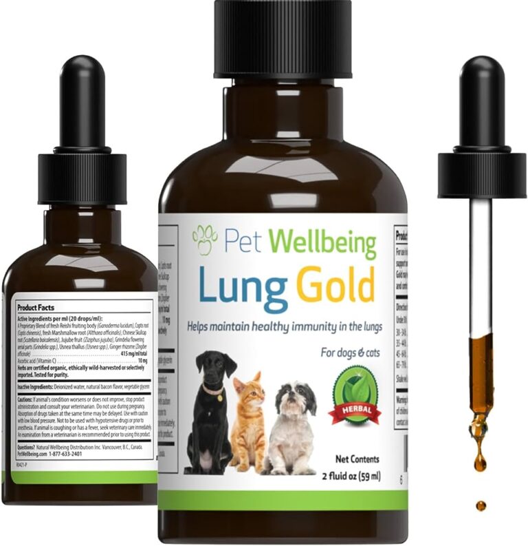 How to Get Fluid Out of Dogs Lungs Naturally