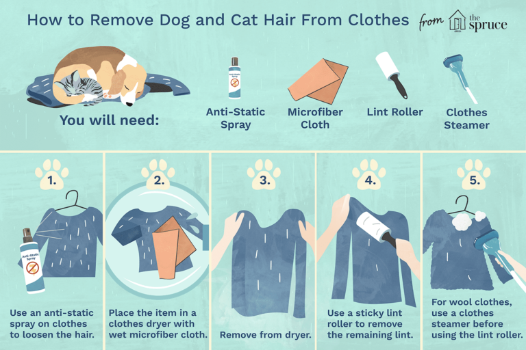 How to Get Rid of Dog Hair on Clothes