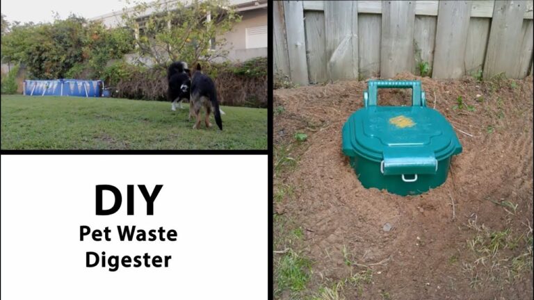 How to Get Rid of Dog Poop in Yard