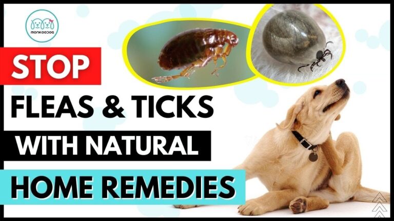 How to Get Rid of Dog Ticks Home Remedies