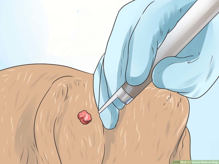 How to Get Rid of Dog Warts at Home