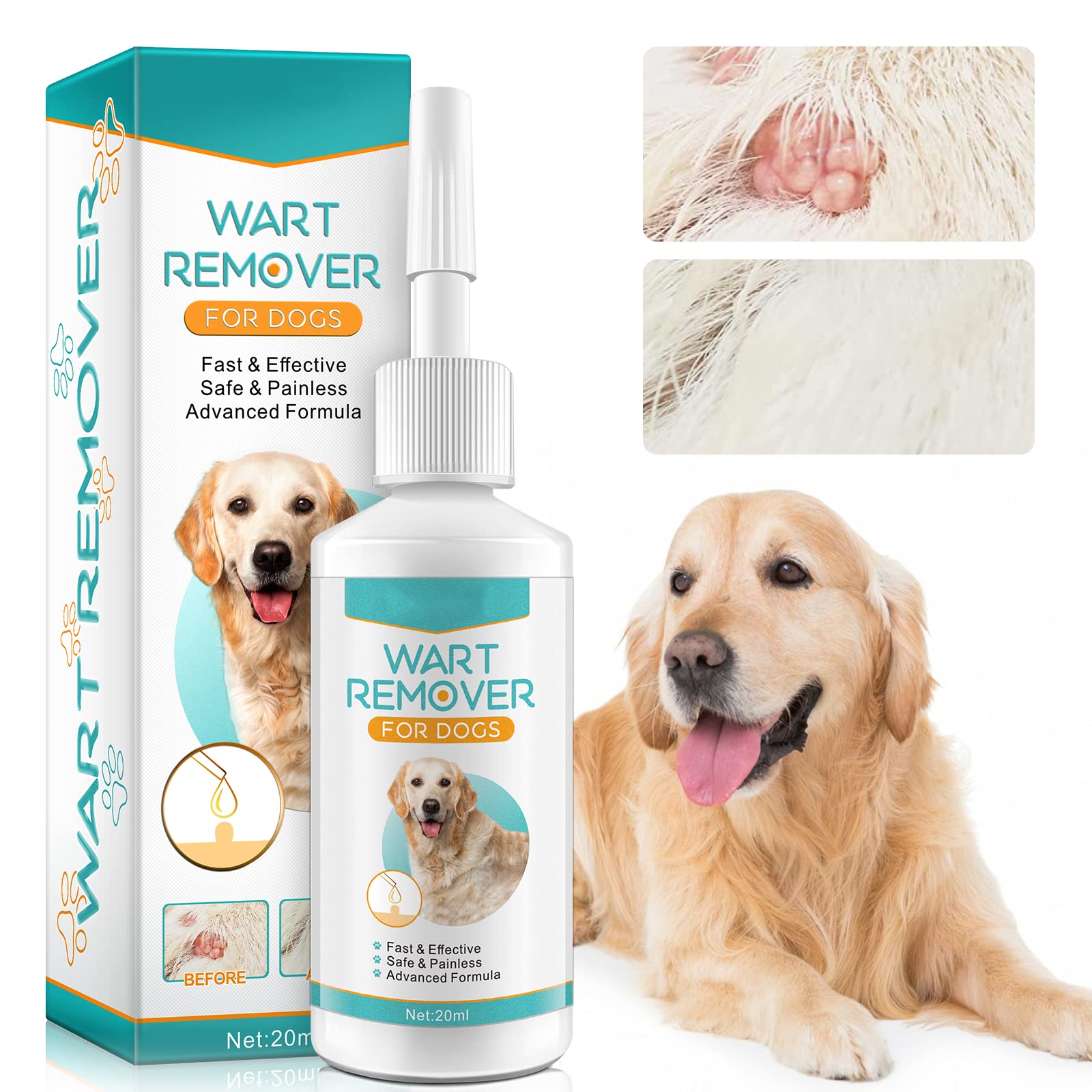 How To Remove Skin Tags From Dogs How to Get Rid of Skin Tags on Dogs - Dog Show TV