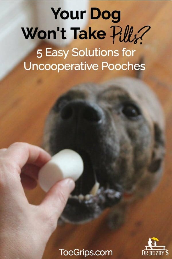 How to Give a Dog a Pill Without Food