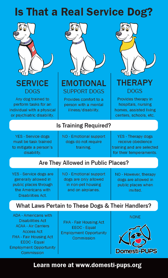 How to Make My Dog a Emotional Support Dog