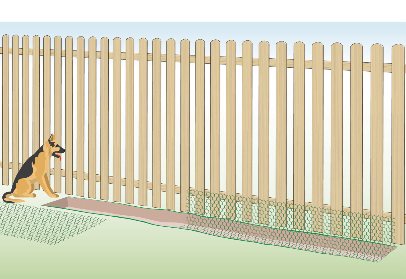 How to Prevent Dogs from Digging under a Fence Dog Show TV