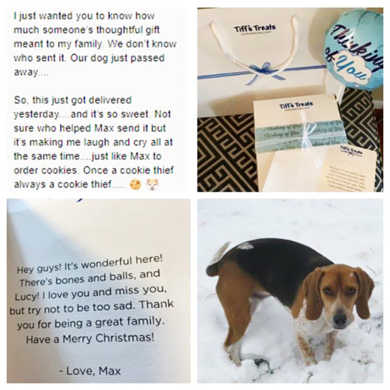Thank You Message for My Dog Who Passed Away