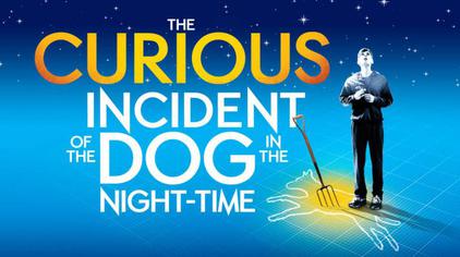 The Curious Incident of the Dog in the Night-Time Play