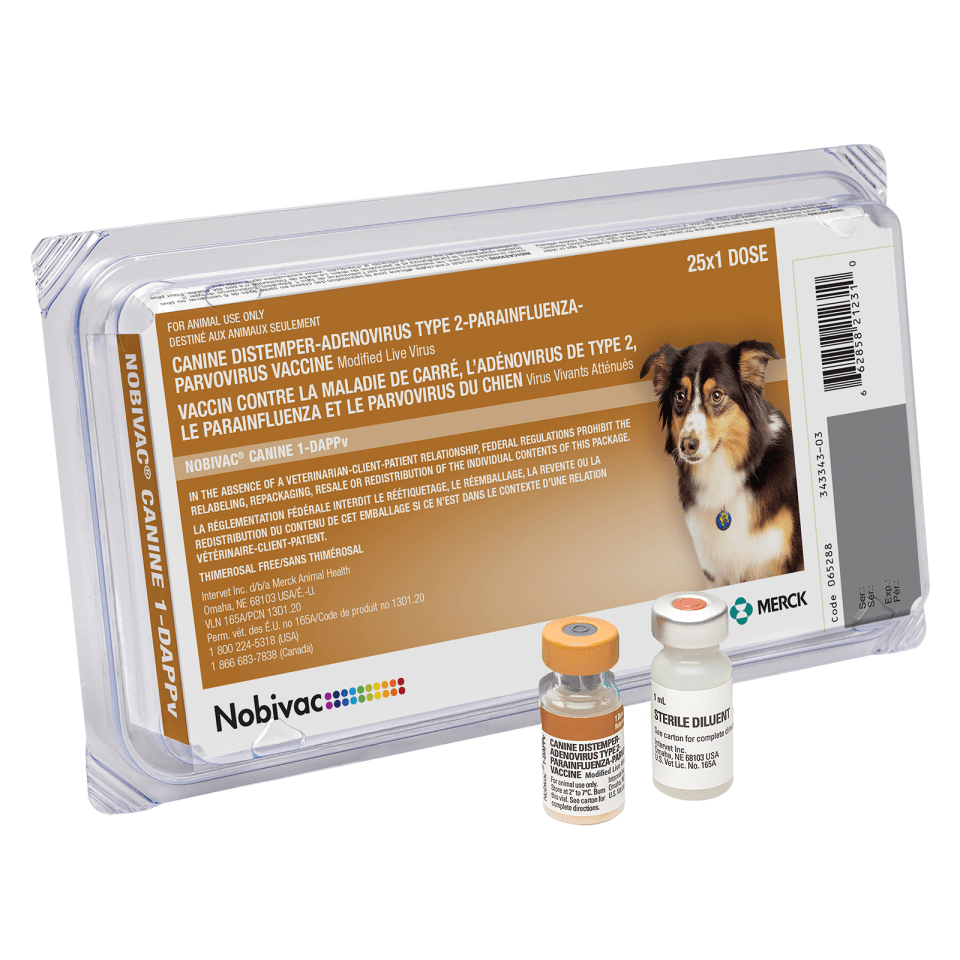 What Does a Distemper Shot Do for a Dog