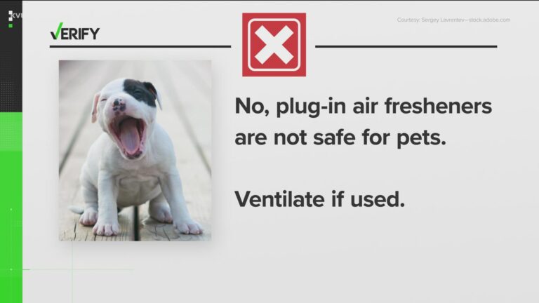 What Plug-In Air Fresheners are Safe for Dogs