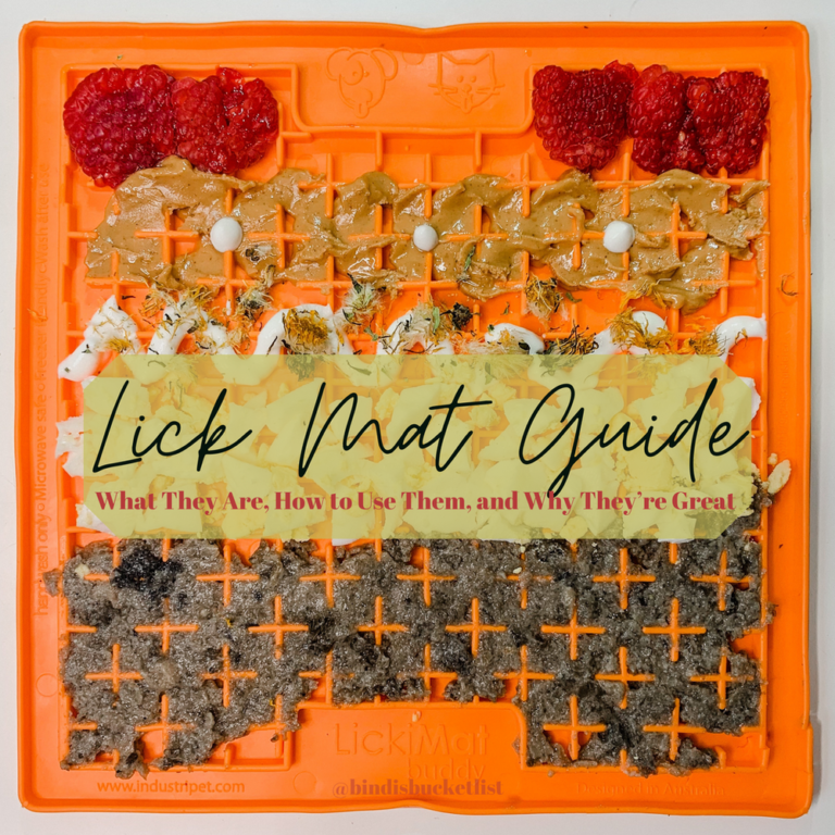 What to Put on a Dog'S Lick Mat