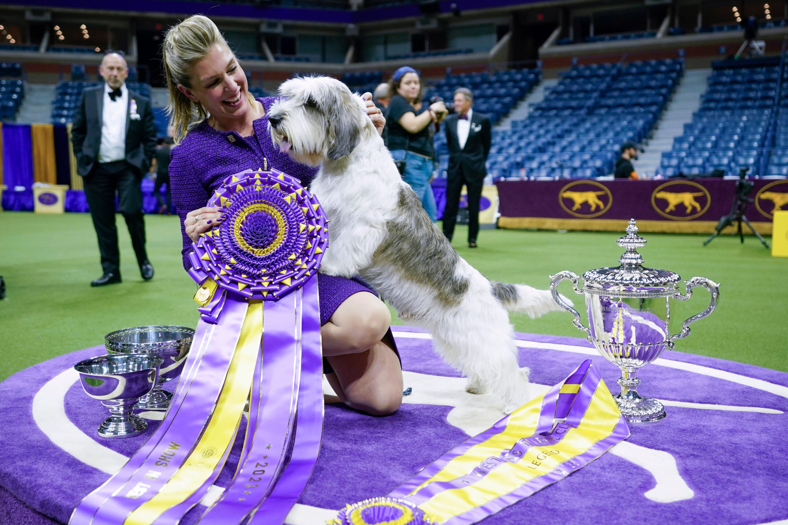 The Unbeatable Winner of the Westminster Dog Show A Canine Champion's