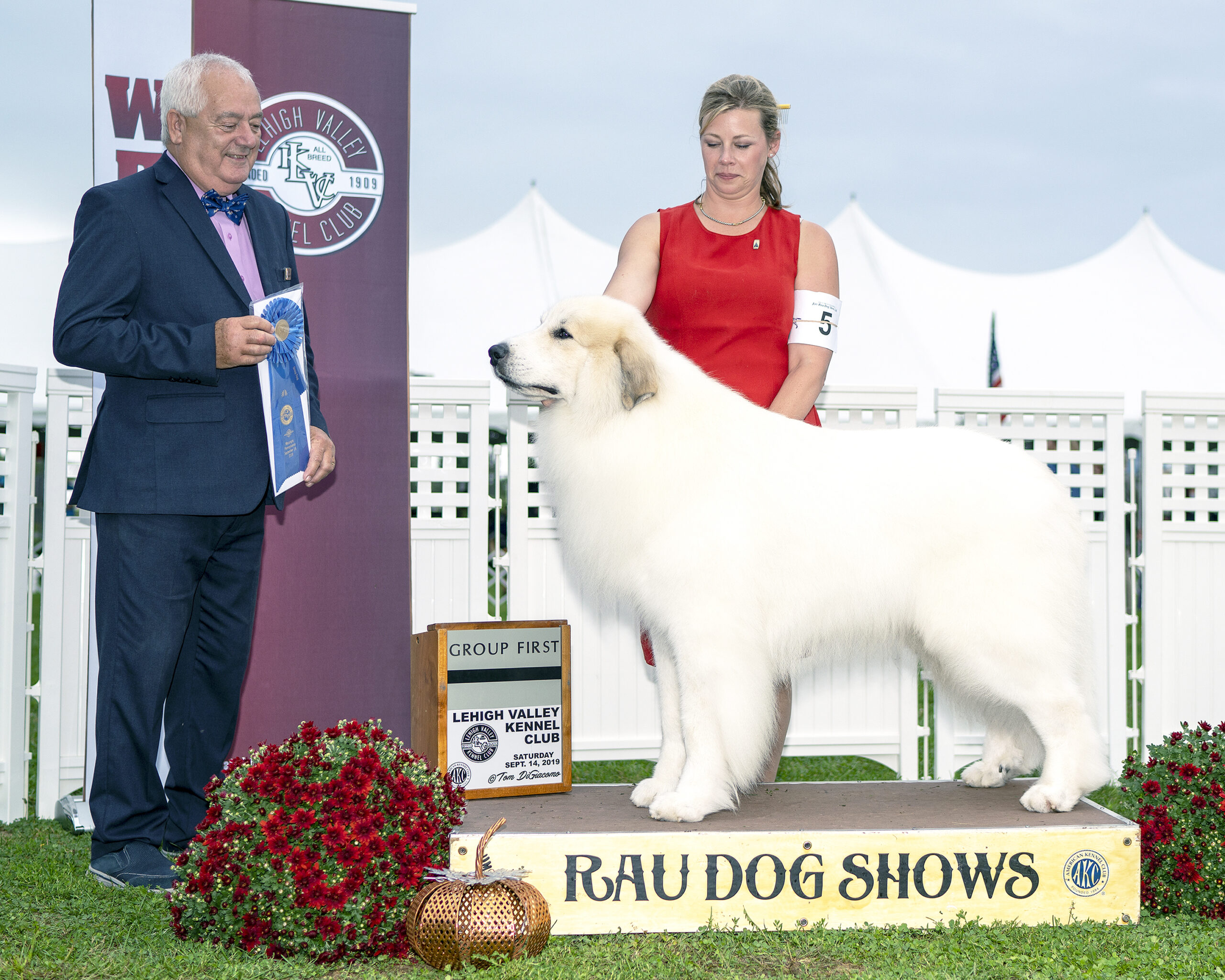 The Buzz at the Jim Rau Dog Show A Canine Extravaganza!