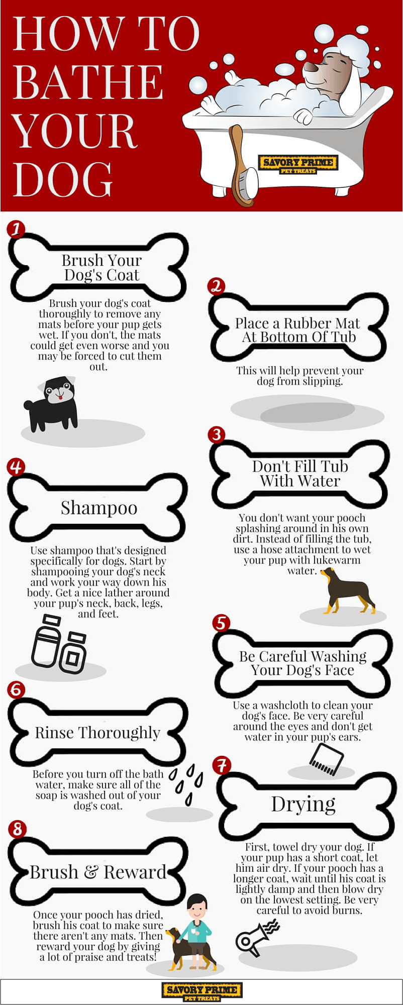 Showering Your Canine Companion Tips for How to Shower a Dog Like a Pro