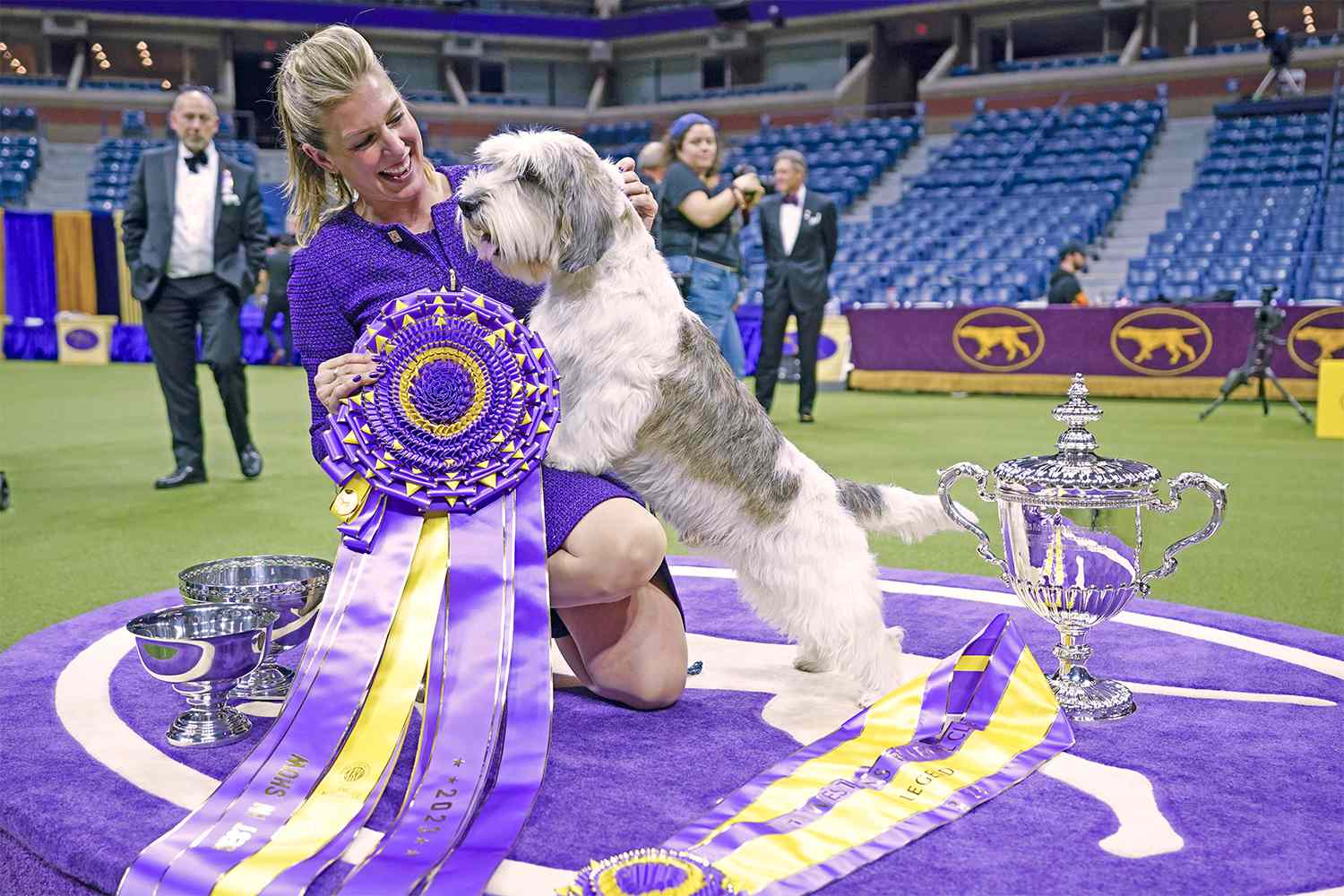 Unveiling the Westminster Dog Show Best in Show A Glorious Triumph