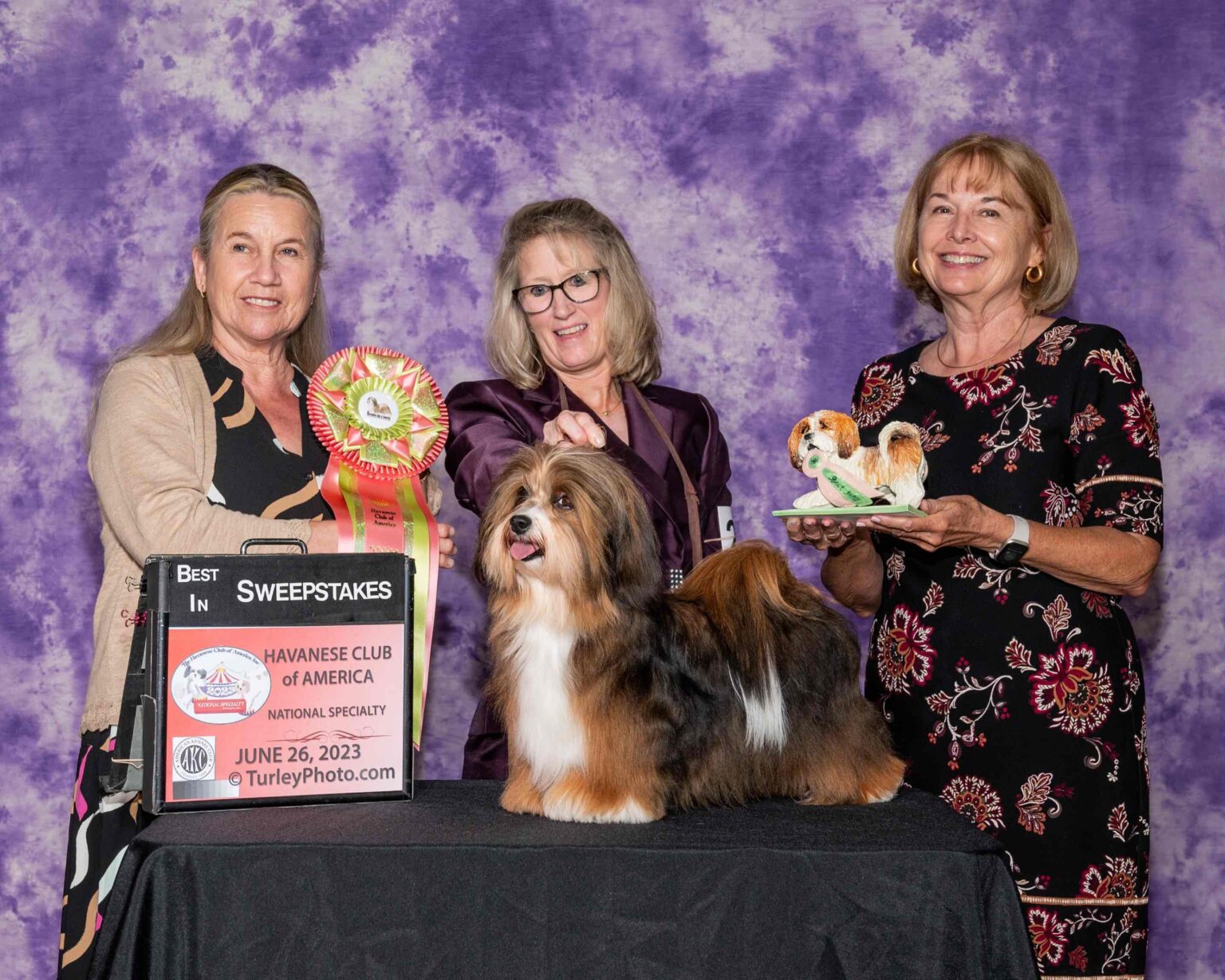 The Ultimate Triumph Winner of National Dog Show 2025 Crowned! Dog