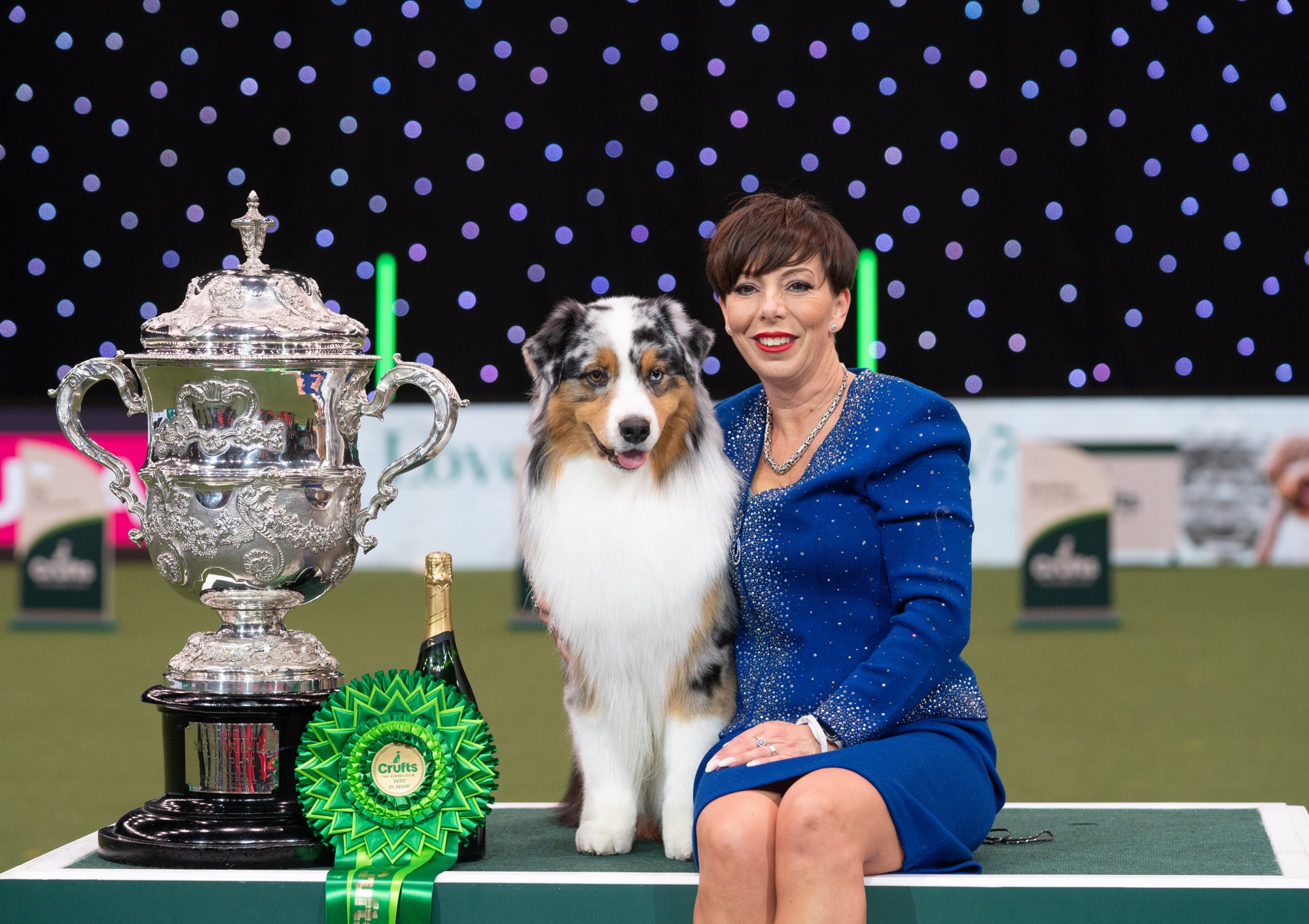 Unveiling the Future Meet the 2025 Dog Show Winner! Dog Show TV