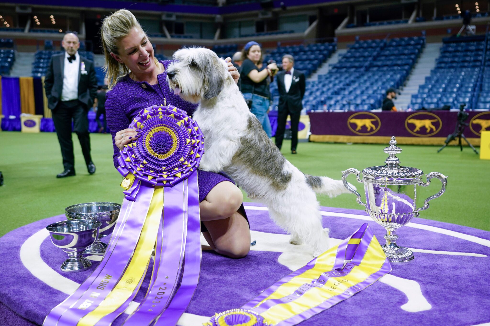 Crowning Glory Westminster Dog Show Winners Who Stole the Show