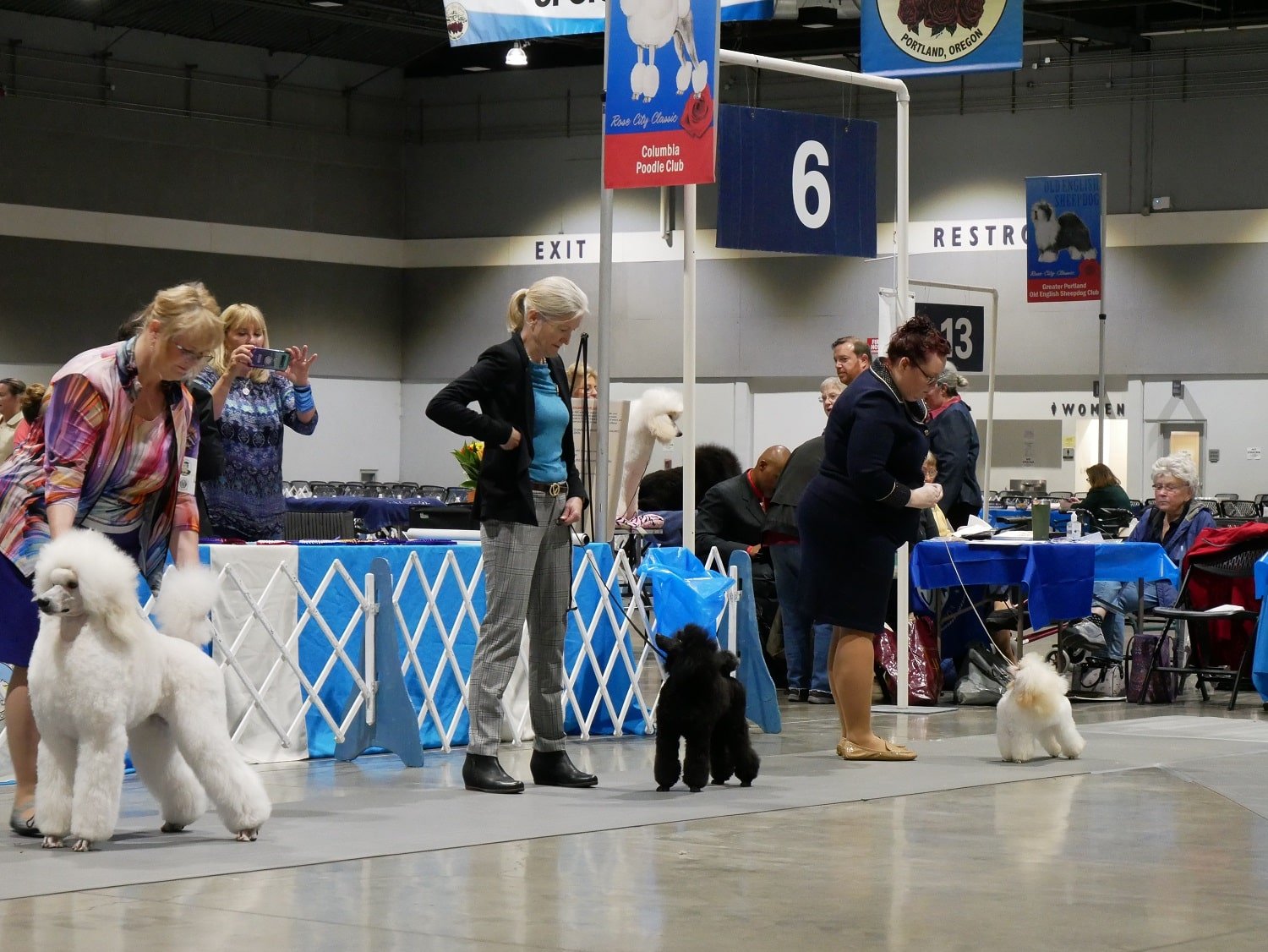 Barktastic Fun Your Guide to the Dog Show Portland Oregon Has to Offer