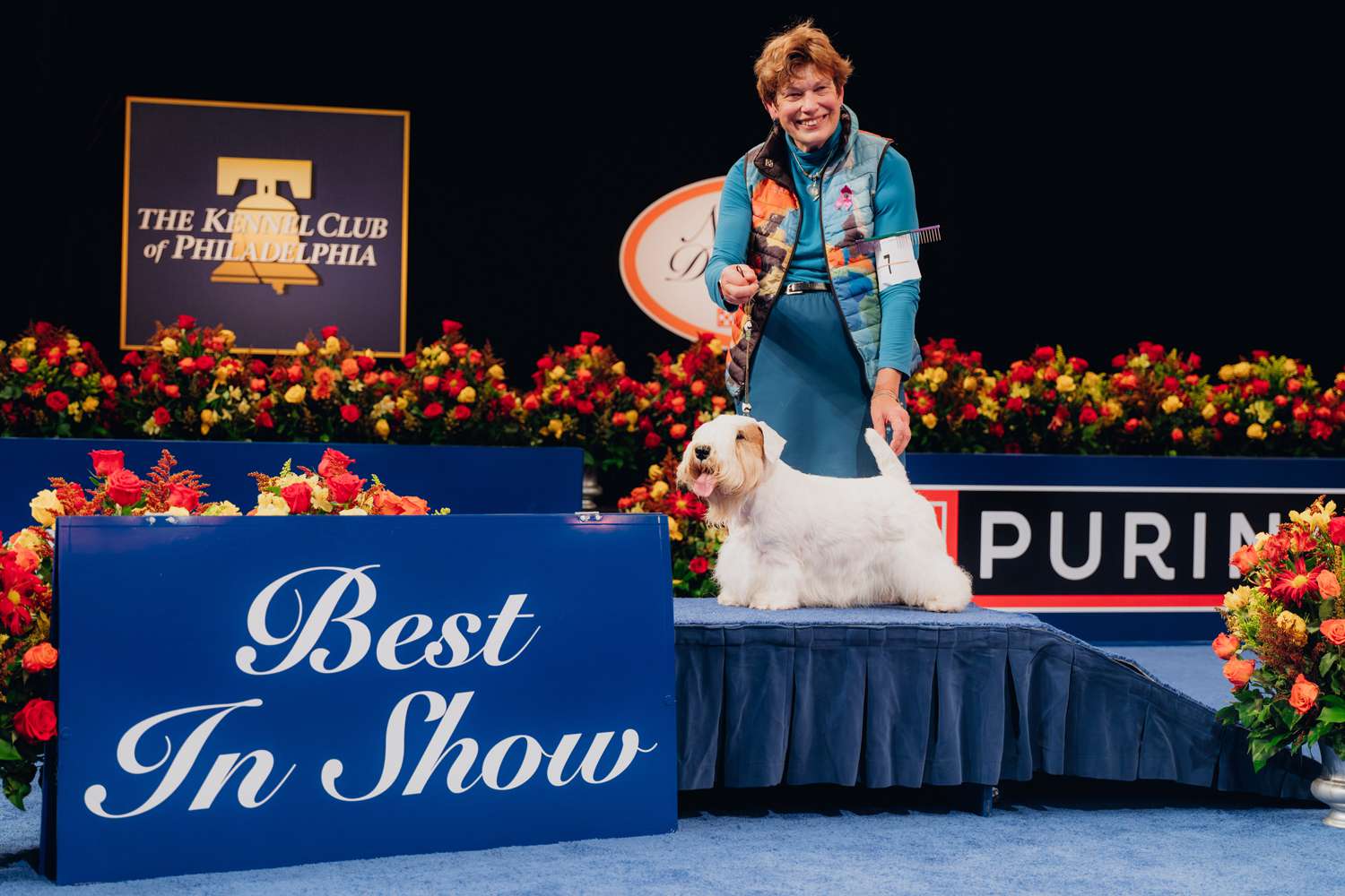 Spotlight on Sealyham Terriers Unleashing Their Charm at the Dog Show!