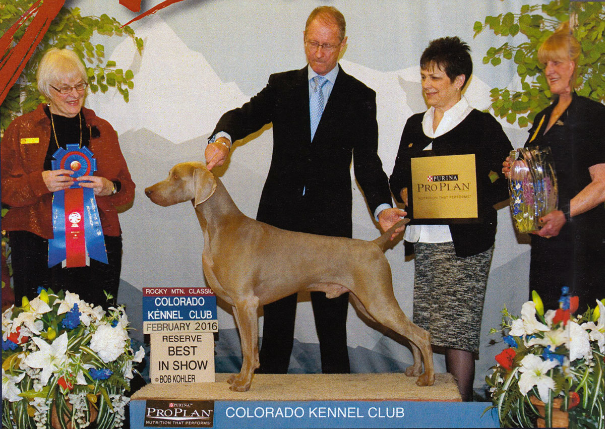 Unleashing Excitement Colorado Kennel Club Dog Show 2025 Preview