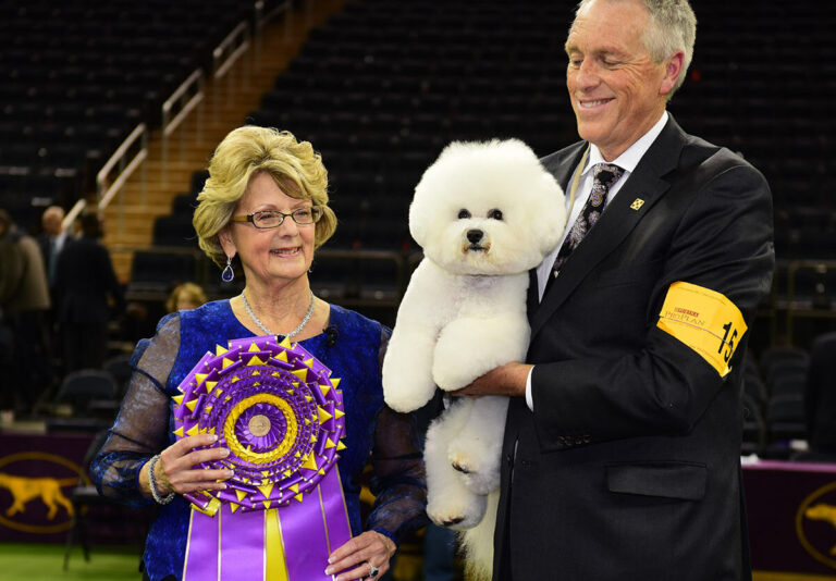 Meet the 2025 National Dog Show Winner A TailWagging Success Story!