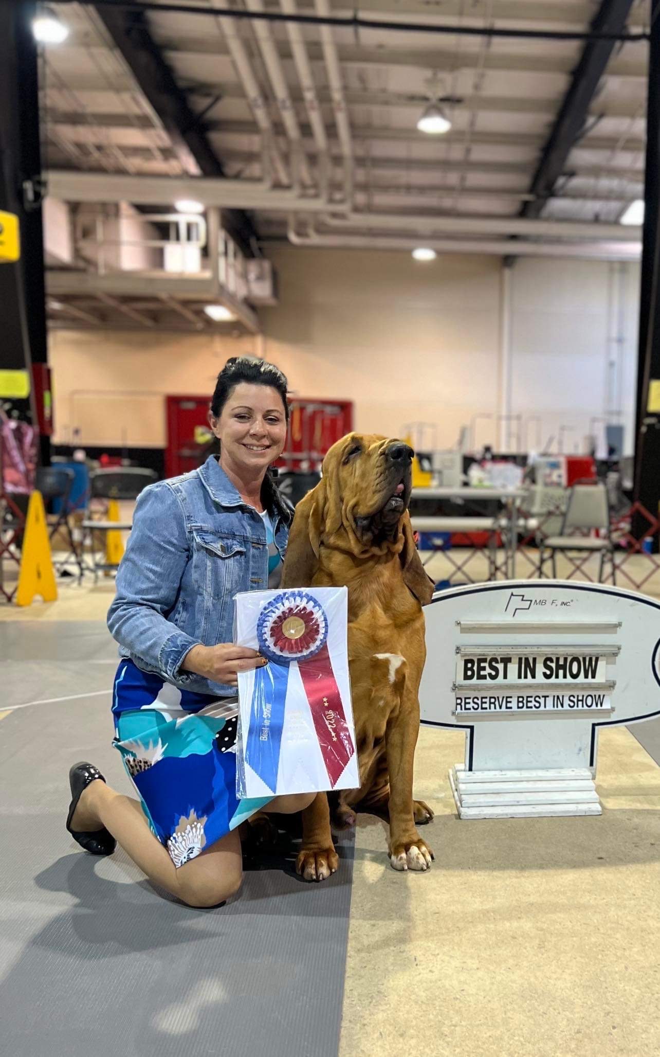 Unleashing Fun Raleigh NC Dog Show Guide Dog Show TV