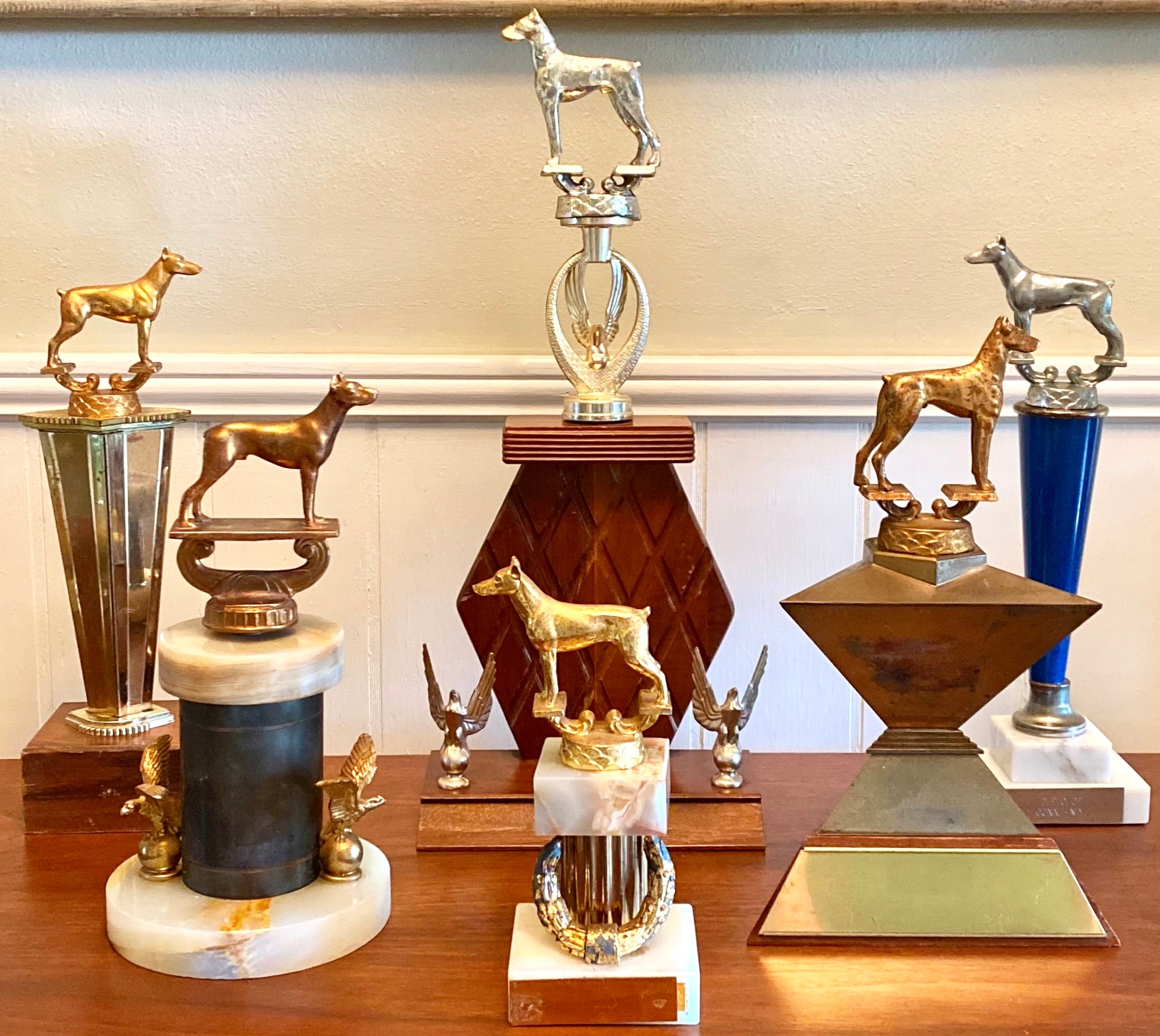 Shining Spotlight on Dog Show Trophies: Celebrating Canine Champions ...