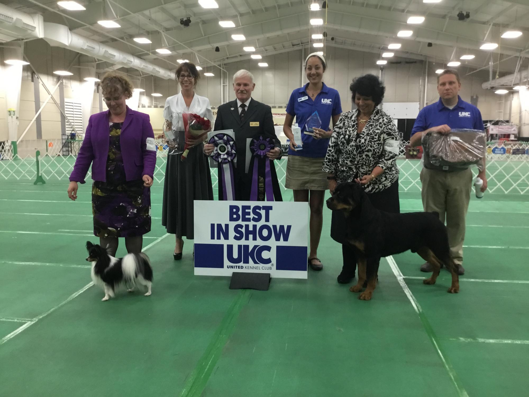 Unleashing the Excitement UKC Dog Shows Near Me Dog Show TV