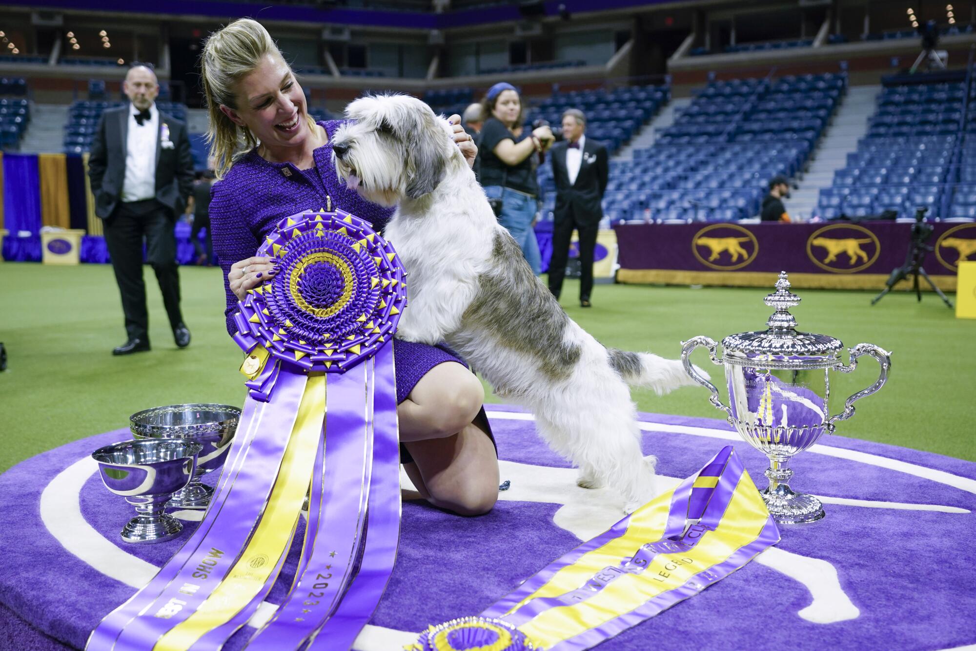 The Ultimate Guide to the Prestigious Westminster Dog Show Prize - Dog ...