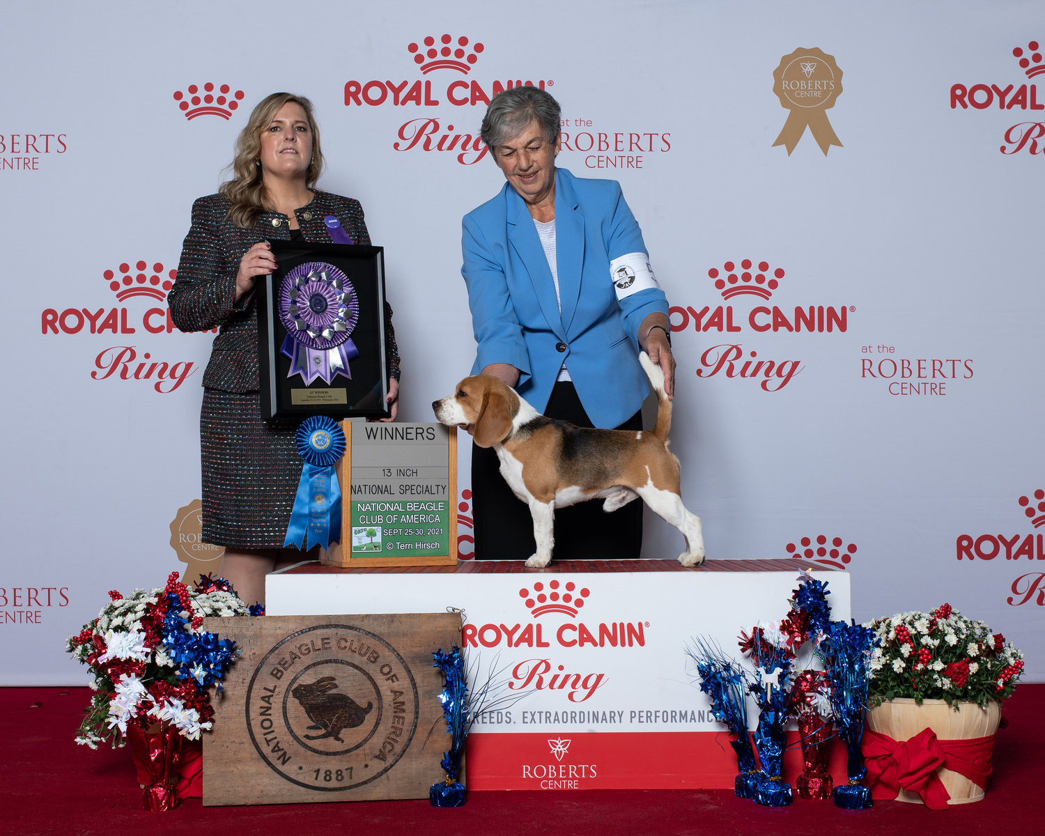 Barking Up the Right Tree Exploring Dog Shows in Ohio Dog Show TV